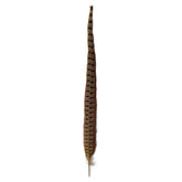 Orvis Pheasant Tail