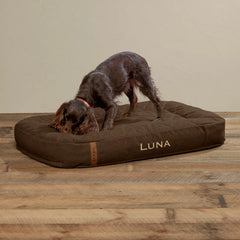 Orvis ToughChew® Memory Foam Lounger Dog Bed