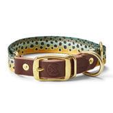 Orvis Whiskey Leatherworks Adjustable Collar
