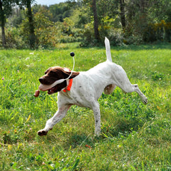 Orvis Game-Bird Training Dummy