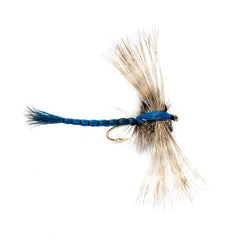 BLUE,6