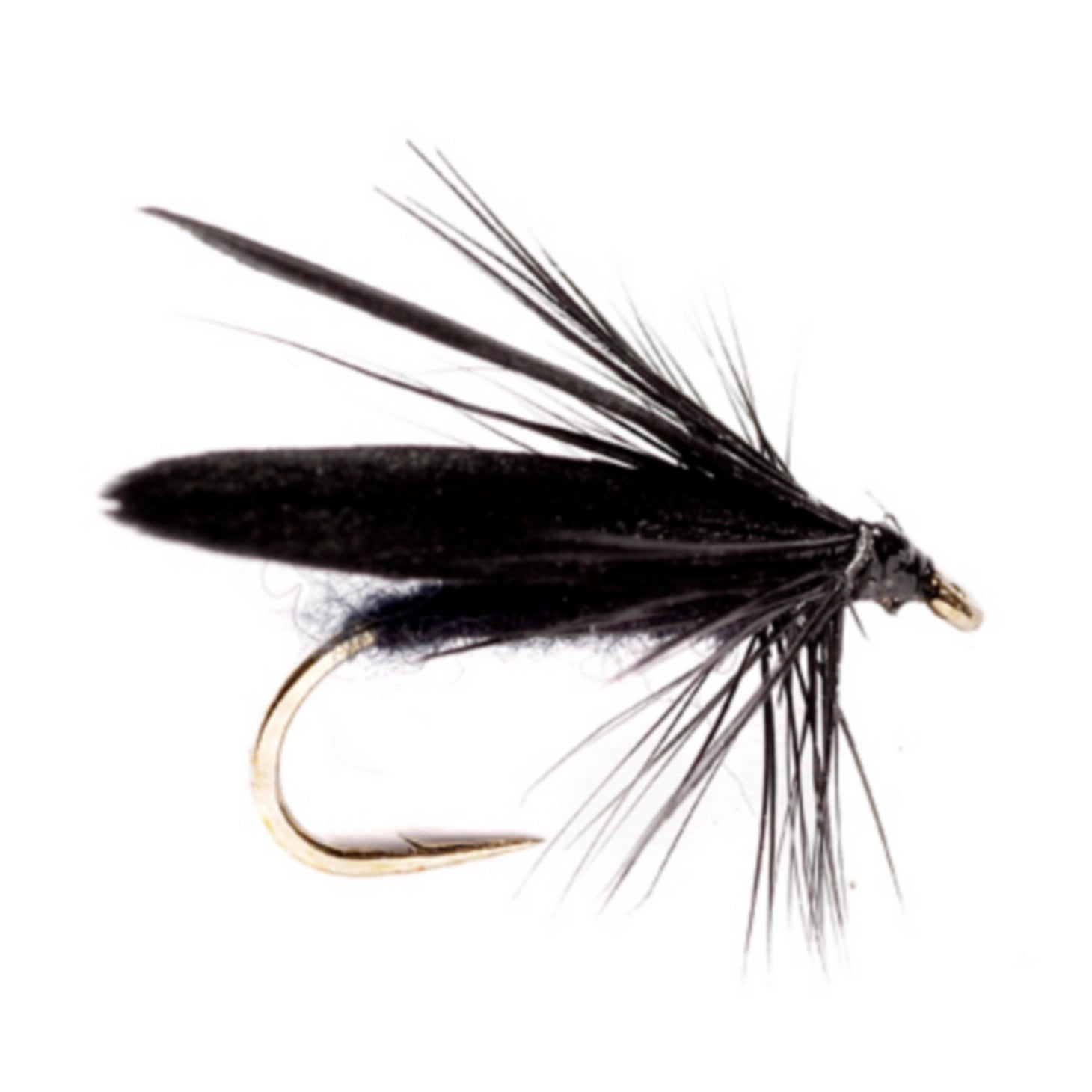 BLACK,14