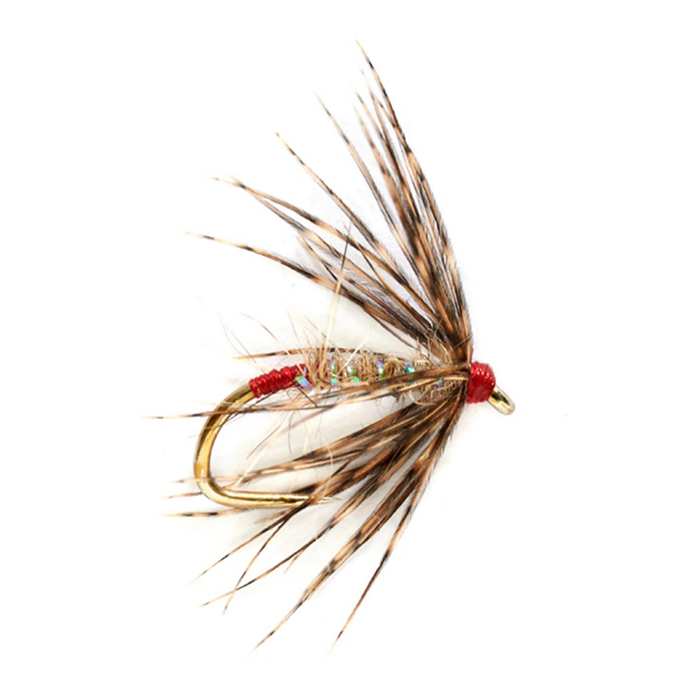 PARTRIDGE & RED,10