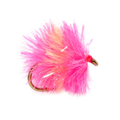 HOT PINK,6