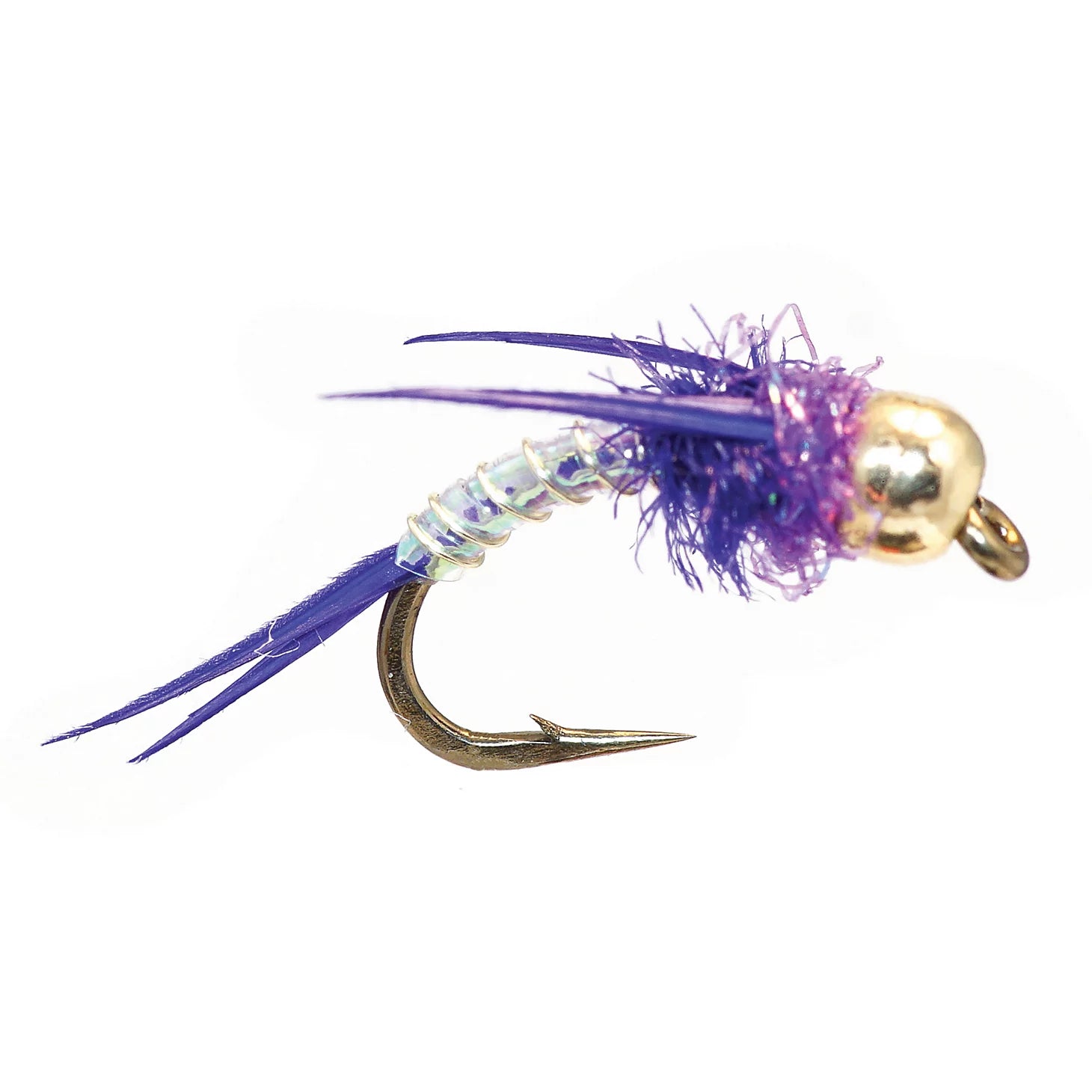 PURPLE,8