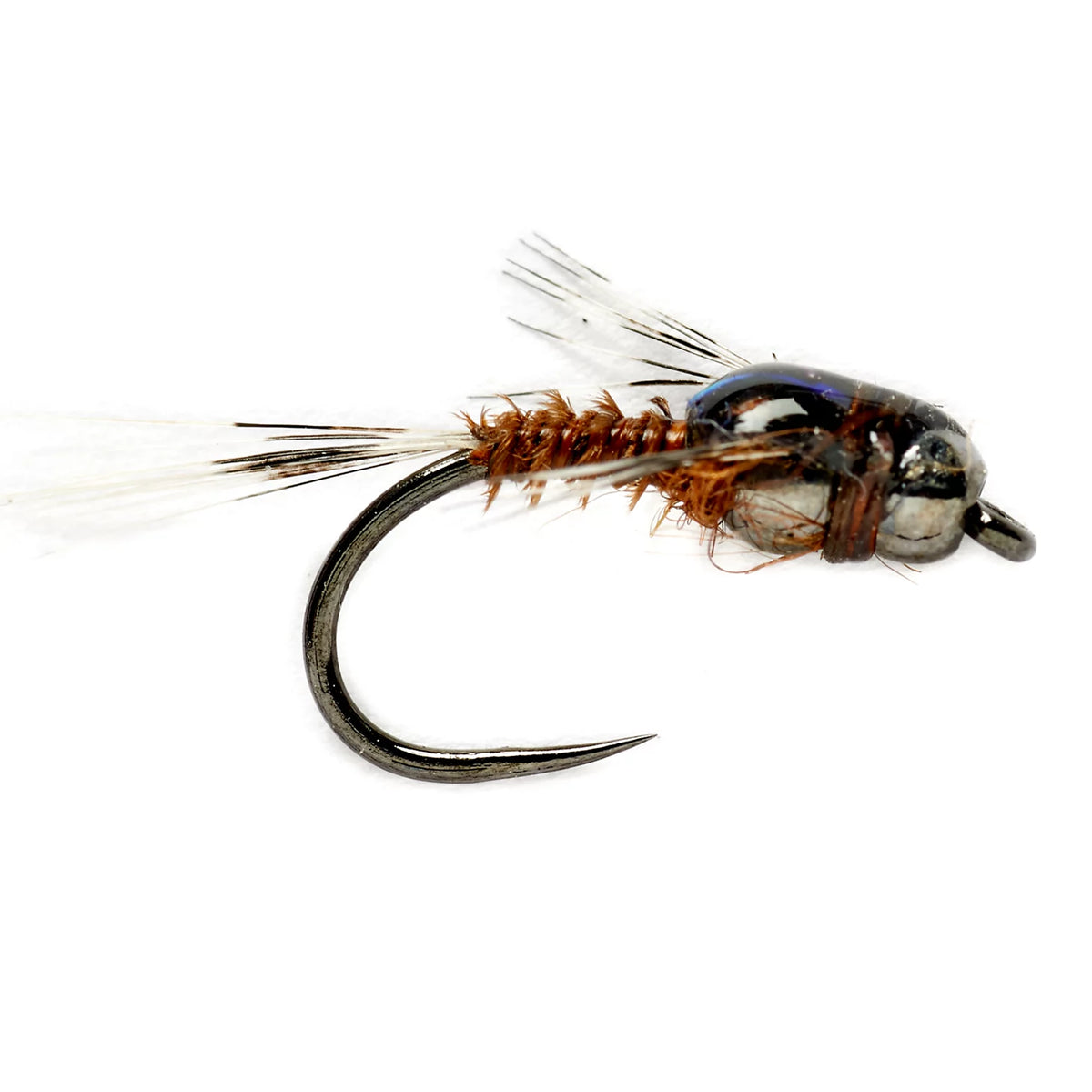 BROWN,8