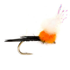 ORANGE,10