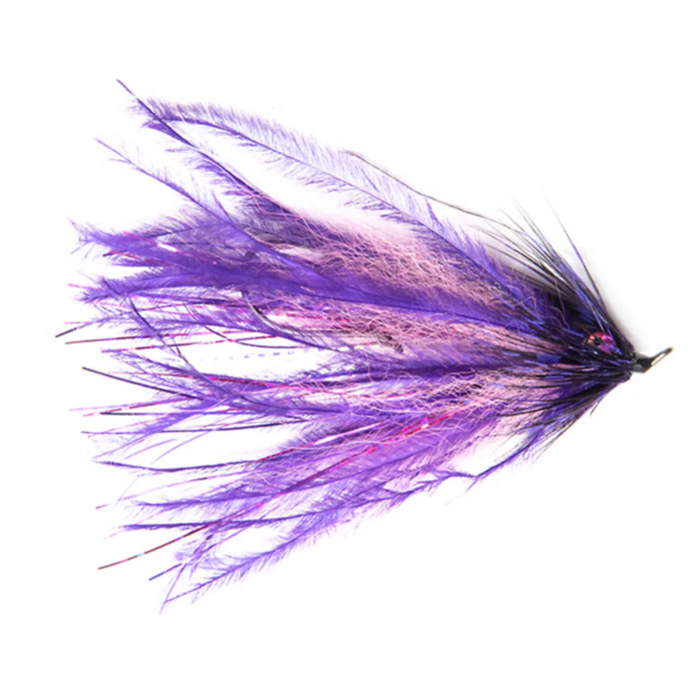 PURPLE/PINK
