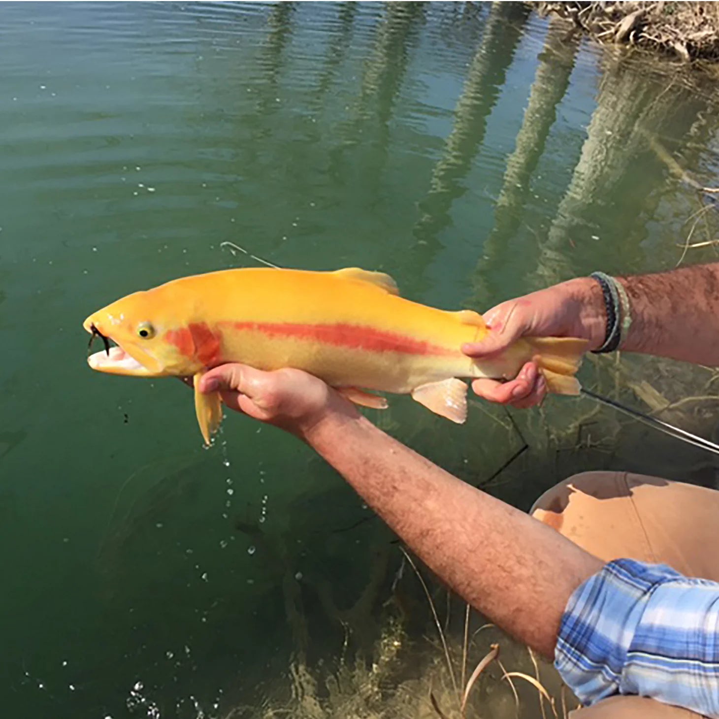 Orvis Boerne, Texas Hill Country Fly Fishing School Hosted By Joshua Creek Ranch
