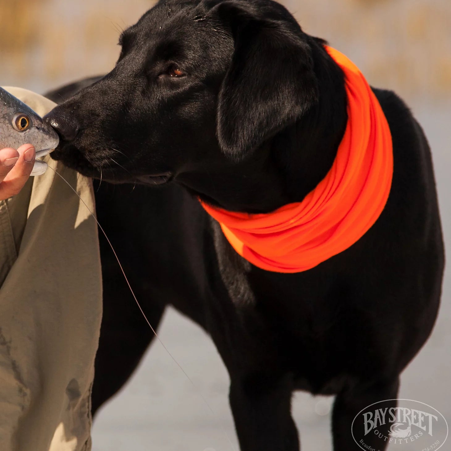 Orvis Lowcountry Saltwater Fishing School, SC