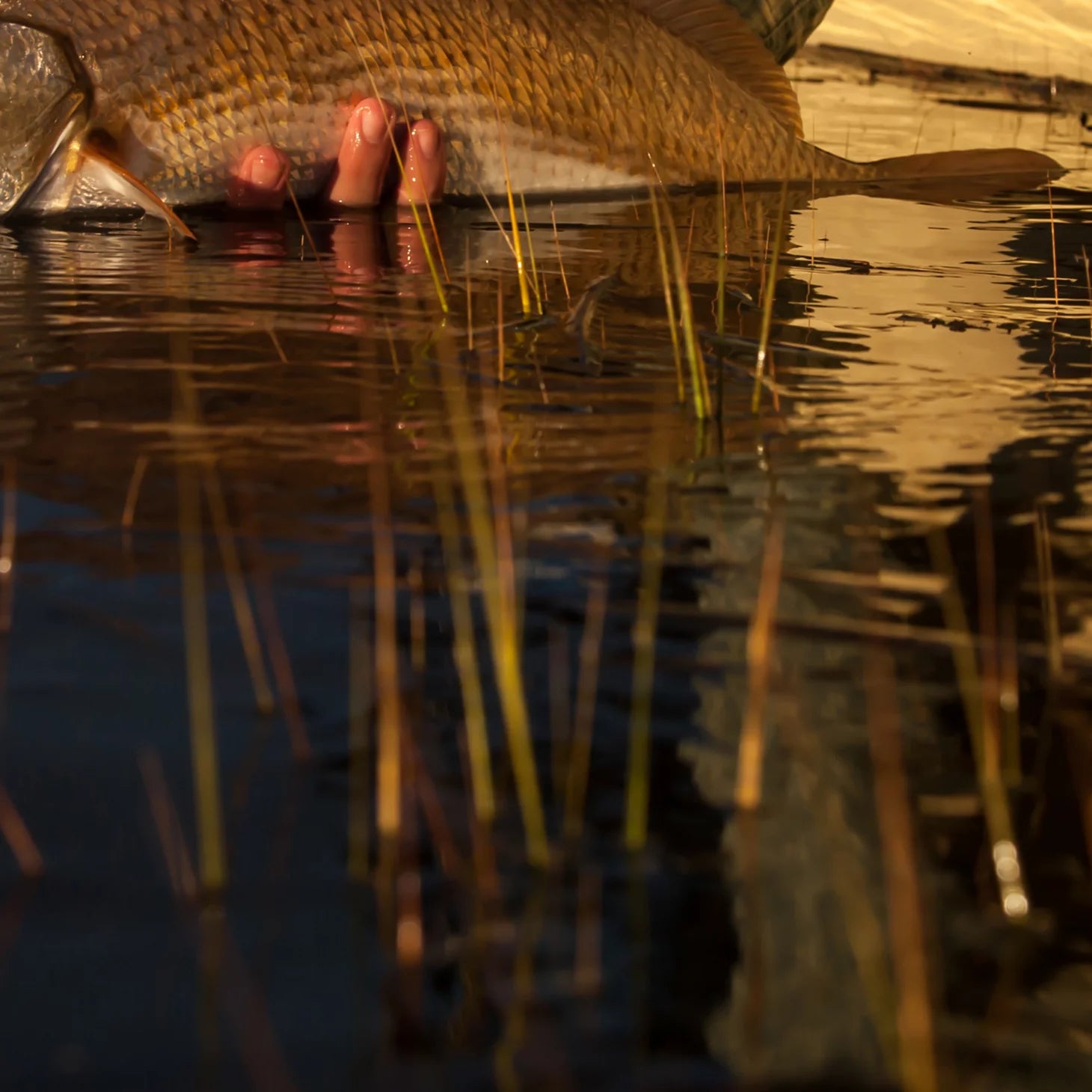 Orvis Lowcountry Saltwater Fishing School, SC