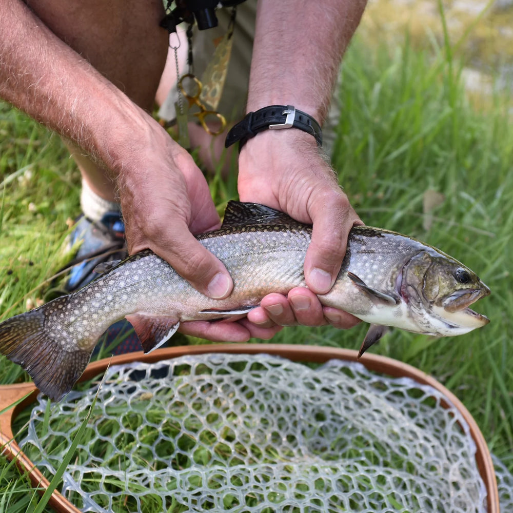 Orvis Clyde, Ohio Fly Fishing School