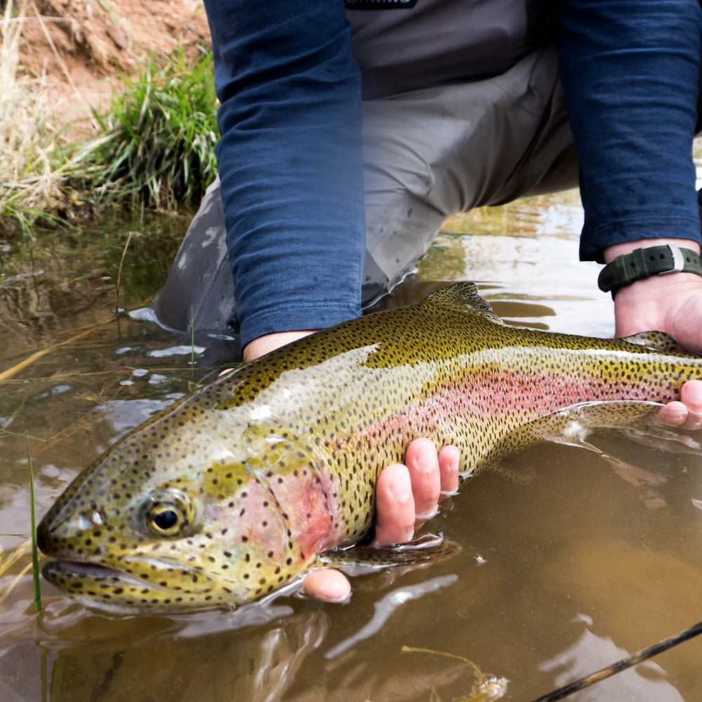 Orvis Trout School At Falcon's Ledge, Utah