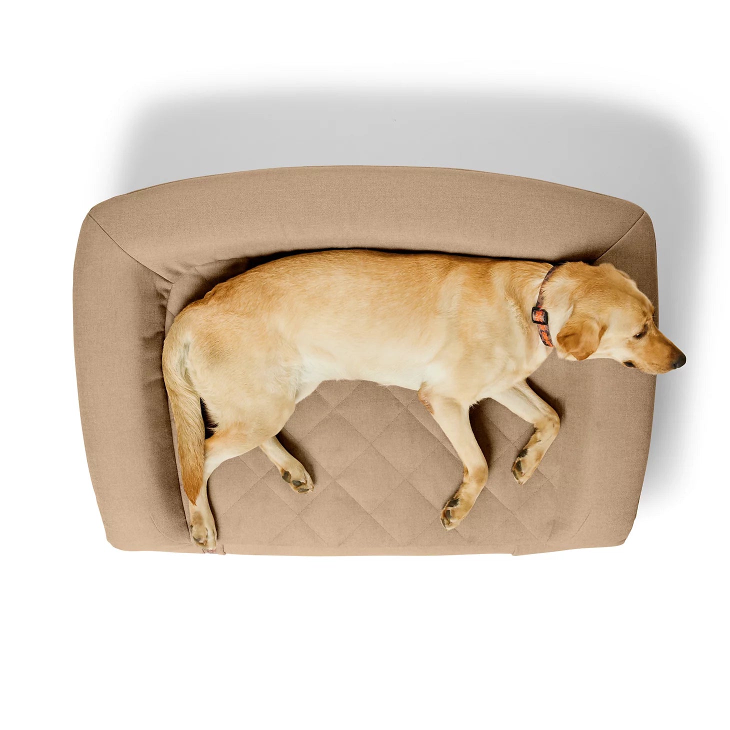 Orvis Orvis RecoveryZone® ToughChew® Couch Dog Bed
