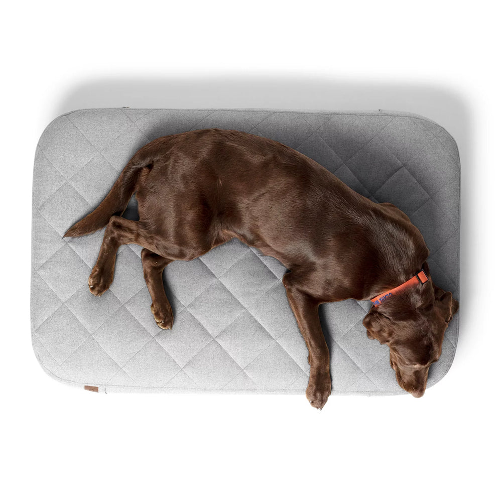 Orvis Orvis RecoveryZone® Lounger Dog Bed