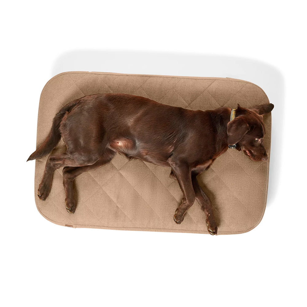 Orvis Orvis RecoveryZone® ToughChew® Lounger Dog Bed
