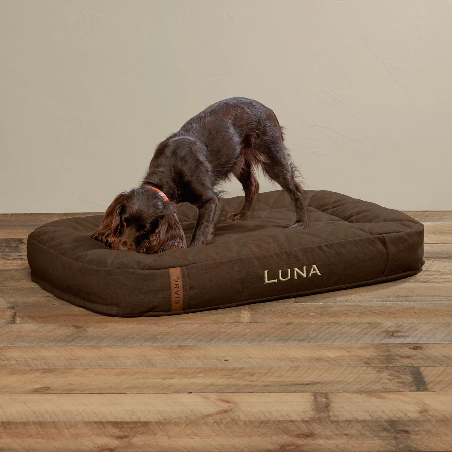 Orvis ToughChew® Memory Foam Lounger Dog Bed