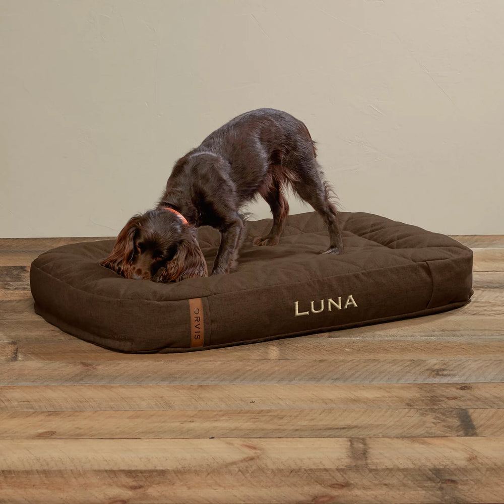Orvis ToughChew® Memory Foam Lounger Dog Bed