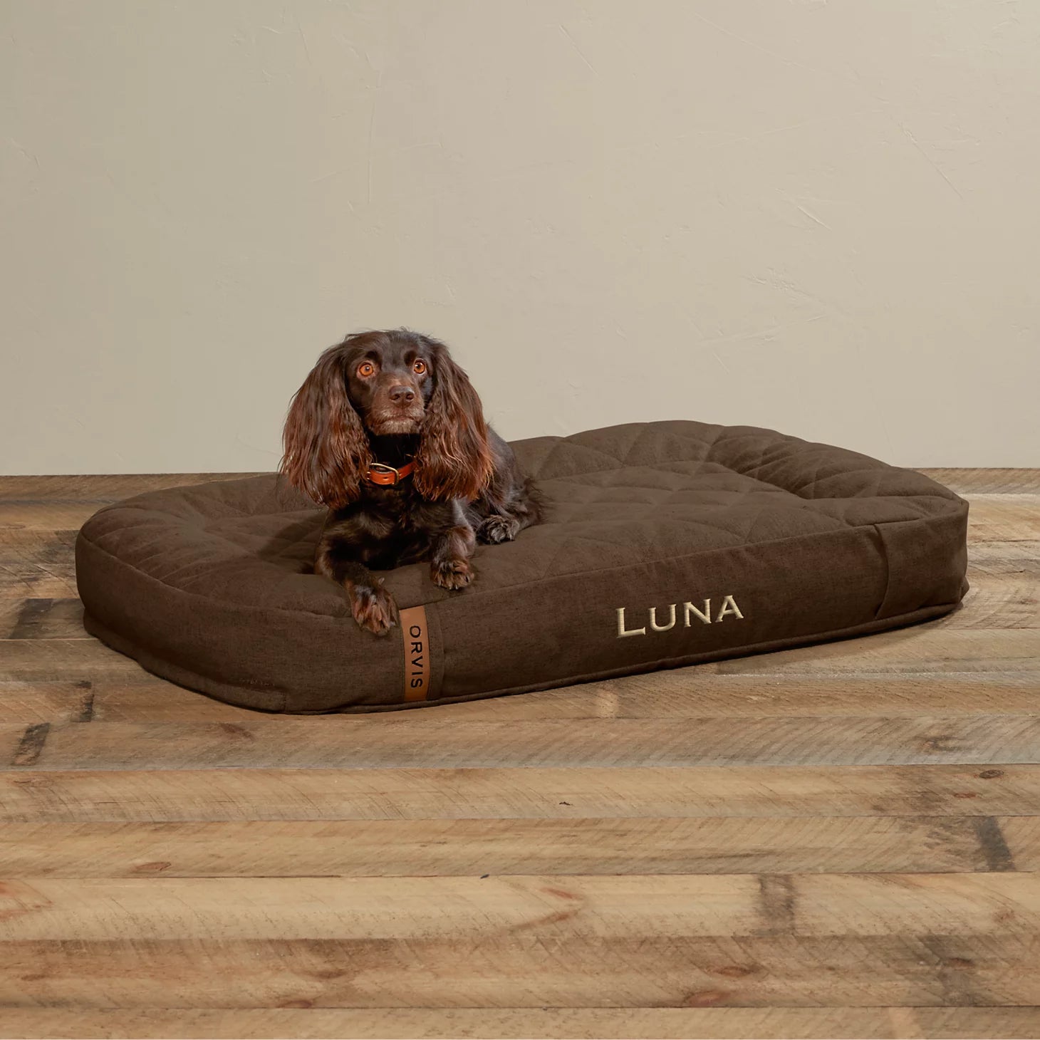 Orvis ToughChew® Memory Foam Lounger Dog Bed