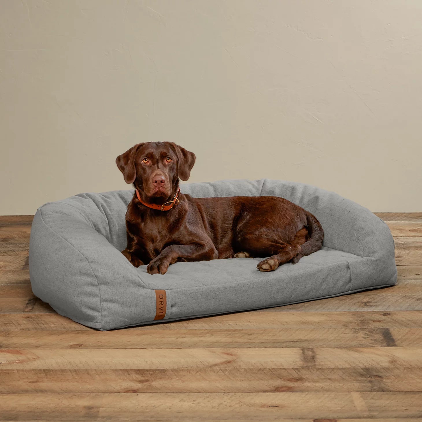 Orvis ToughChew® Memory Foam Couch Dog Bed