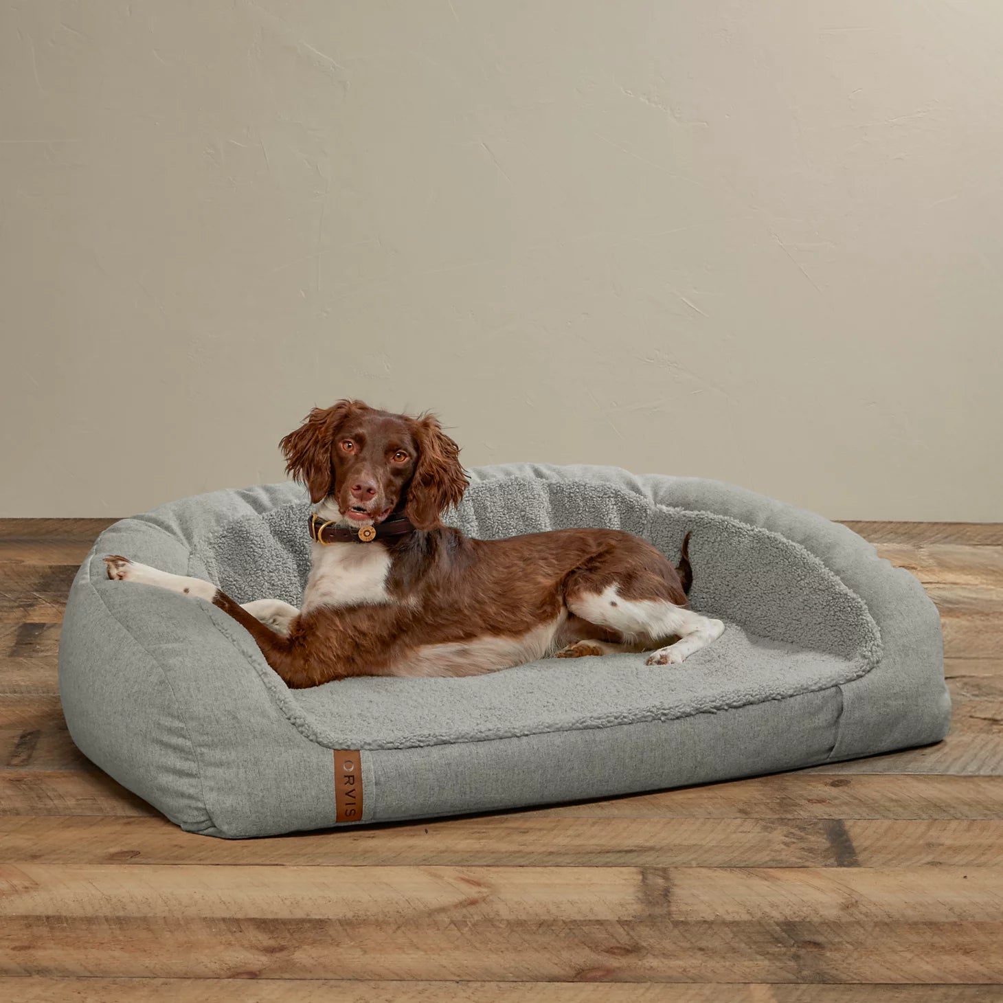 LIGHT GRAY,MEDIUM