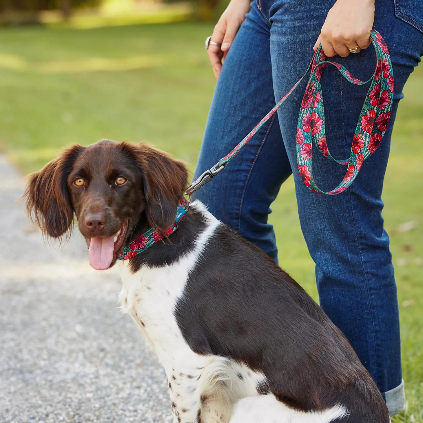 Orvis Orvis x Fishe® Wear Collar