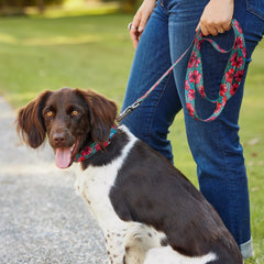 Orvis Orvis x Fishe® Wear Dog Leash
