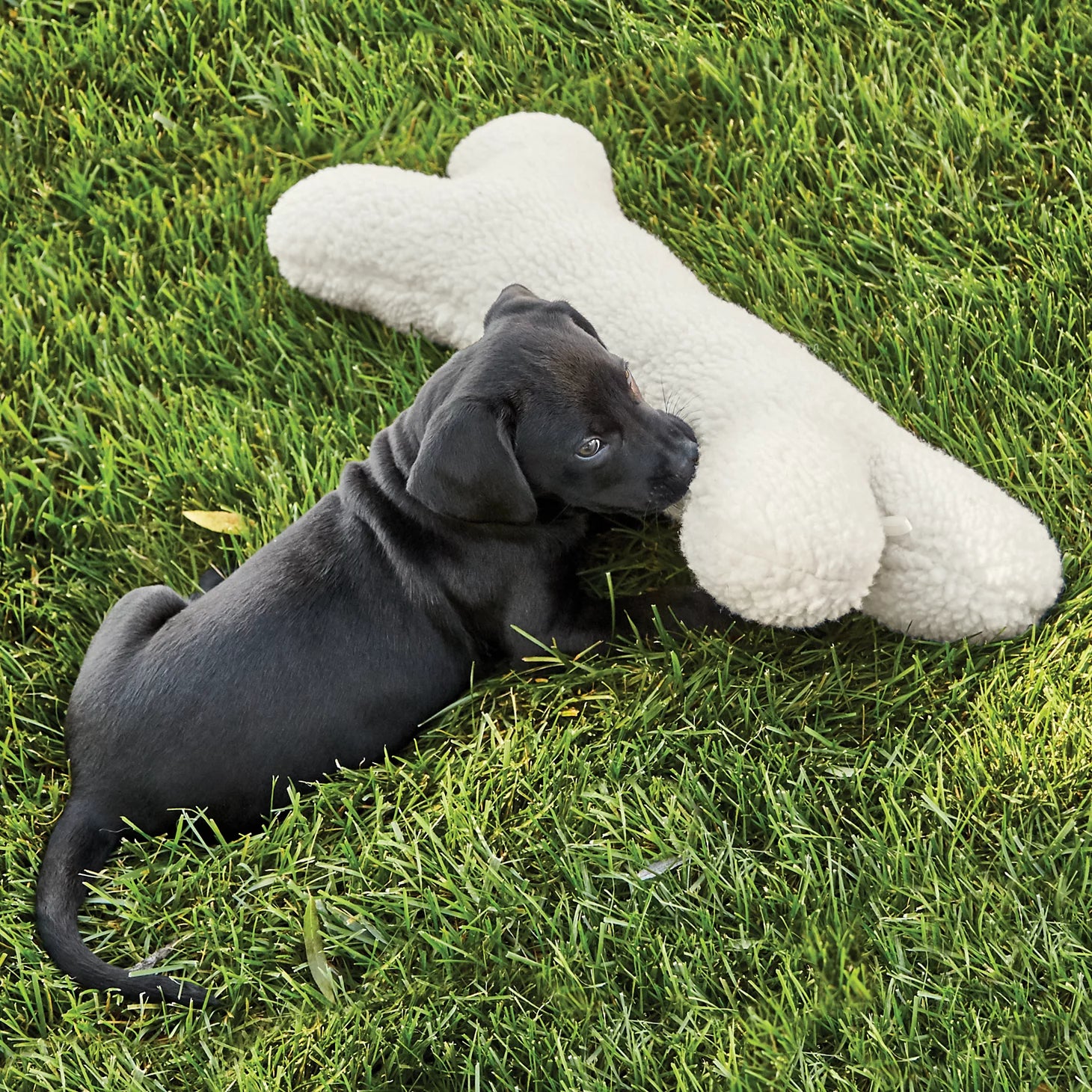 Orvis Fleece Dog Bone