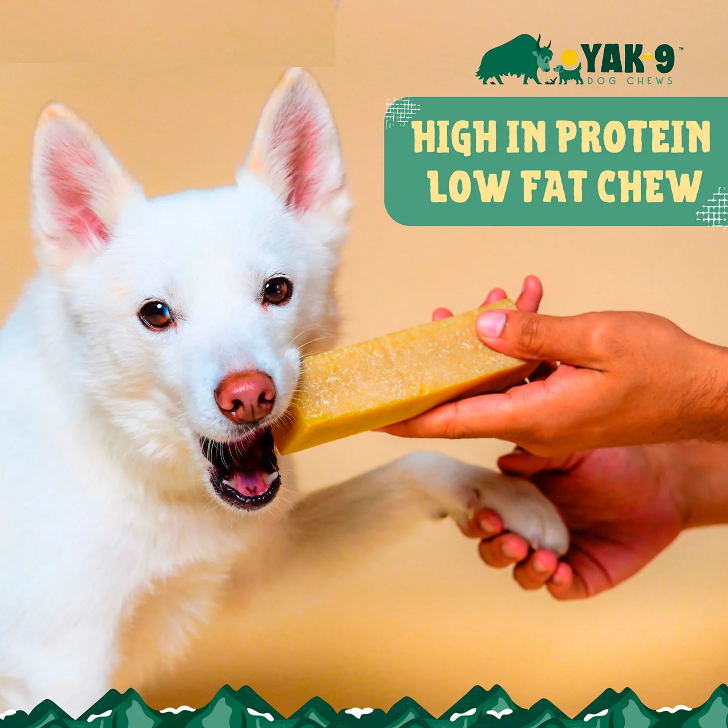 Orvis Yak-9 Dog Chew - Single