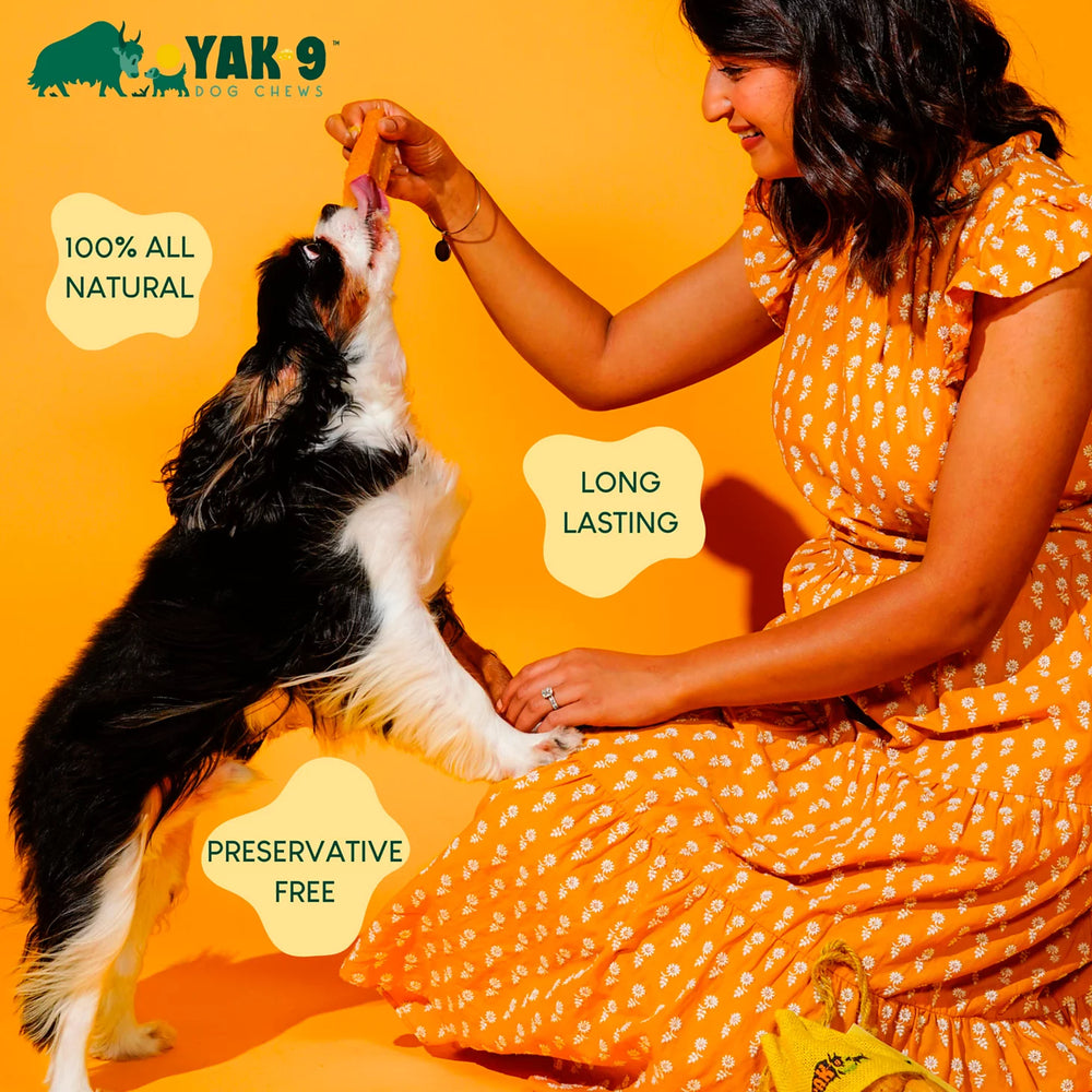 Orvis Yak-9 Dog Chew - Single