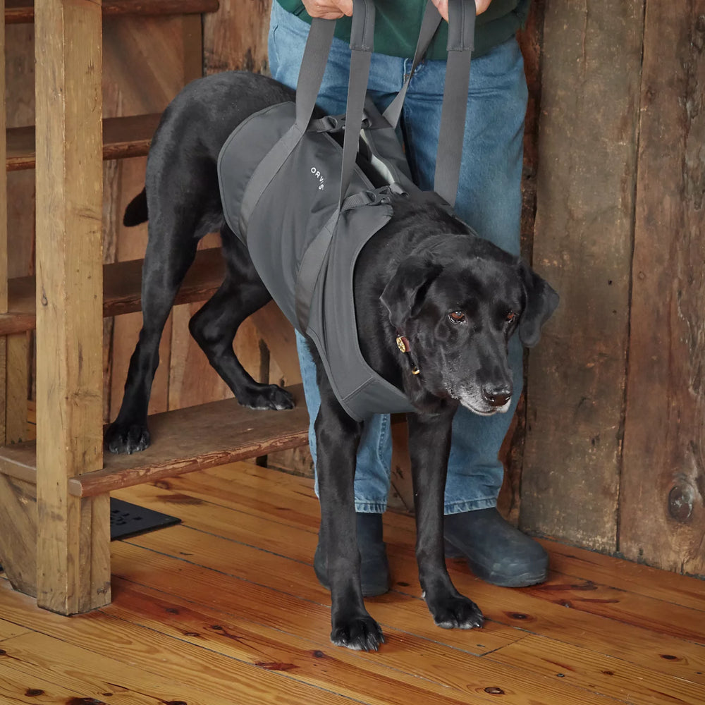Orvis Dog Lift
