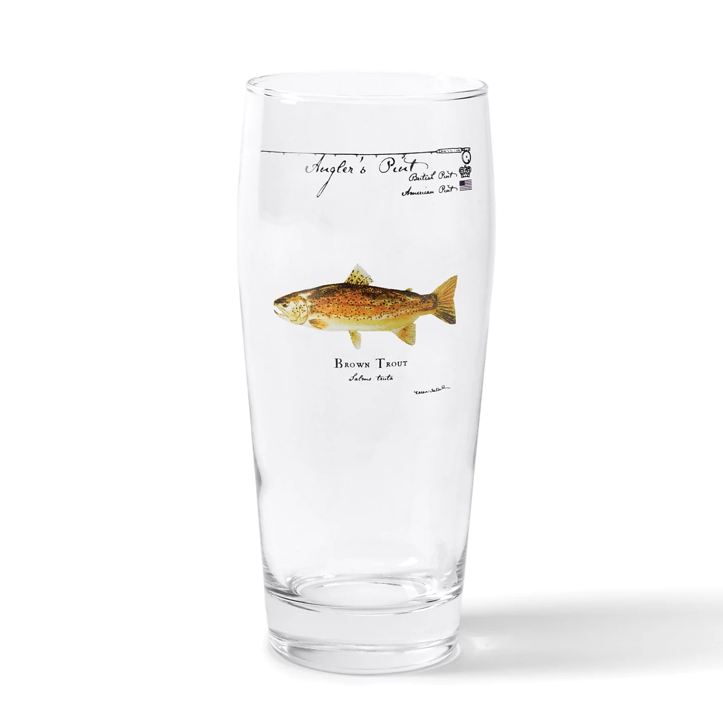 BROWN TROUT